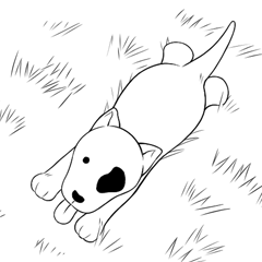 たずね犬